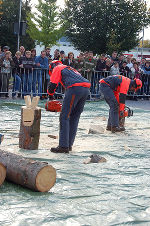 "Forestry-Sports-Austria": Profis mit der Kettensäge